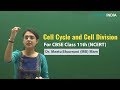 Cell Cycle and Cell Division | NCERT | Class 11 by Dr Meetu Bhawnani (MB) Mam | Etoosindia.com