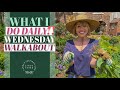 Daily Garden Routine: WW