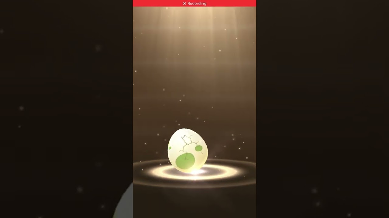 2 km egg hatch