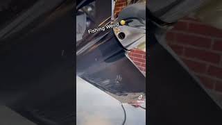 Weird Fishing Stuff 😳 #fishing #shorts #weird Profile