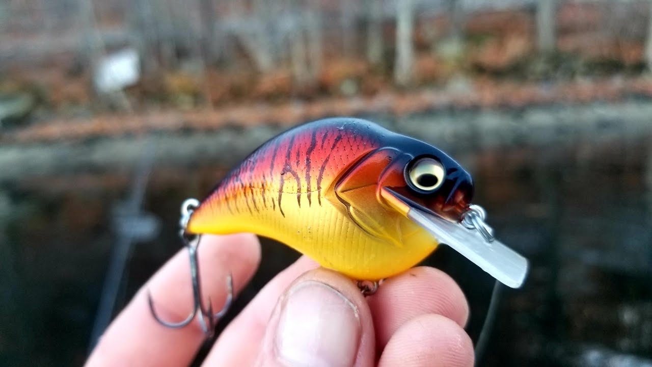 Using the Megabass S Crank 1.2 Squarebill (First Impressions)