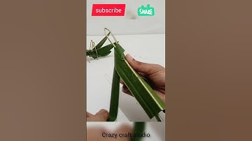 How to make a coconut leaf grasshopper //kids craft idea  #short #shorts #craft #coconutleafcraft
