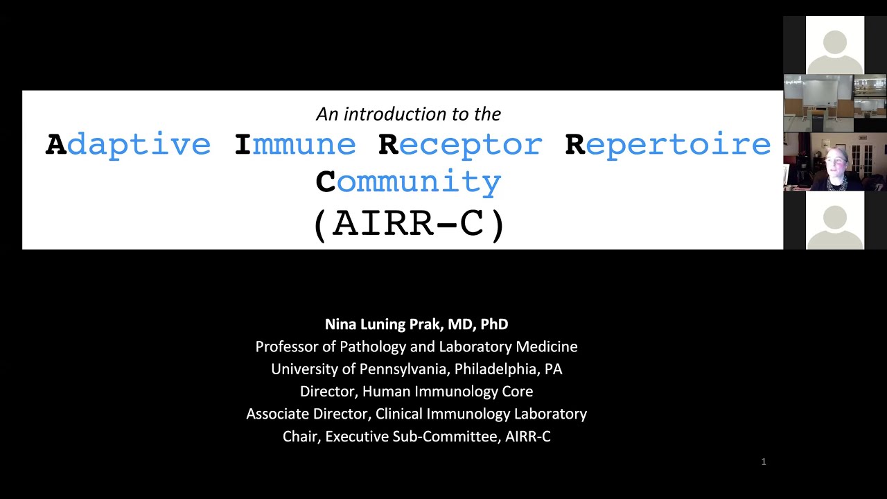 AIRR-seq in the Pandemic joint meeting. AIRR-C welcome.