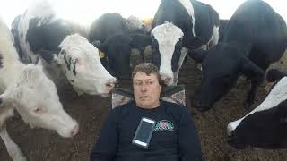 My Cowlick Is From My Cows.