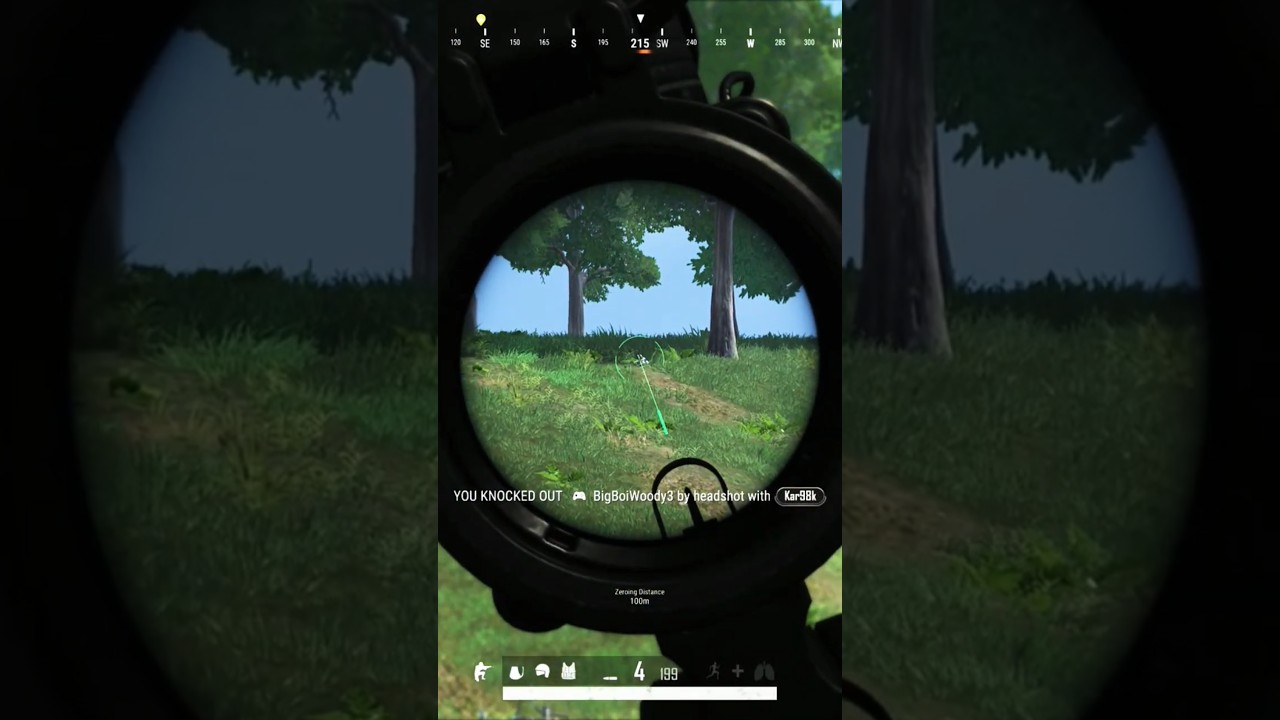Pubg double snake snipe on Sanhok 