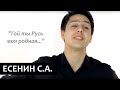 "Гой ты Русь моя родная..." Сергей Есенин