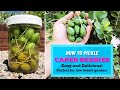 GROW Caper Bush and PICKLE your own caper buds / caper berries