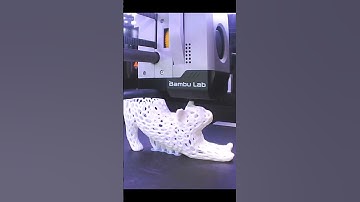 3d printed (stretching cat) timelapse