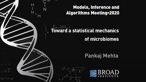 MIA: Pankaj Mehta, Toward a statistical mechanics of microbiomes; Primer by Pankaj and Josh Goldford