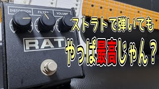 【名機降臨！】Proco RAT2 & Vanzandt STV R-1 ～エフェクター試奏～