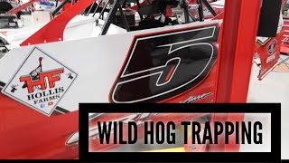 WILD HOG TRAPPING 🤔🤔🤔 Why I’m Not?