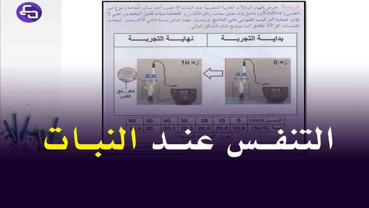 الدرس 20.19 :علوم طبيعية اولى متوسط المبادلات الغازية التنفسية عند النبات الاخضر