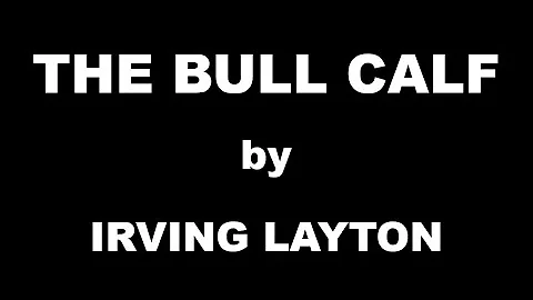 The Bull Calf by Irving Layton / Summary