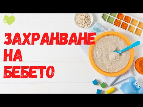 Видео: ЗАПОВЕДИ ЕДНА = ИВАН