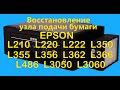 Принтер Epson L210, L220, L364, L486, L3060 не захватывает бумагу. Меняем ролики. Инструкция.