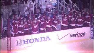 Red Wings Home Opener To The 2014-2015 Season!!