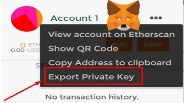 How To Export Private Key Ethereum Wallet Metamask | Metamask