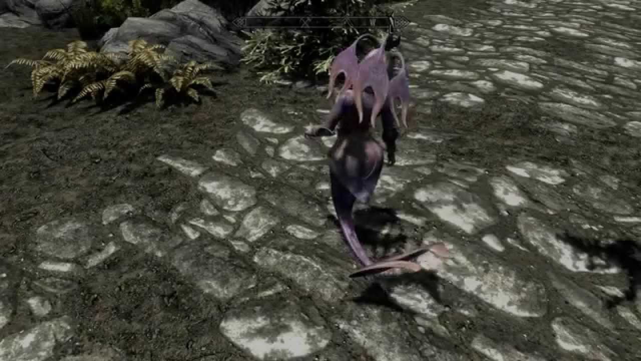 Skyrim T pose bug 