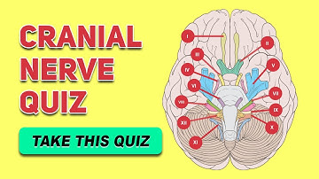 Cranial Nerve Quiz | Human Anatomy and Physiology