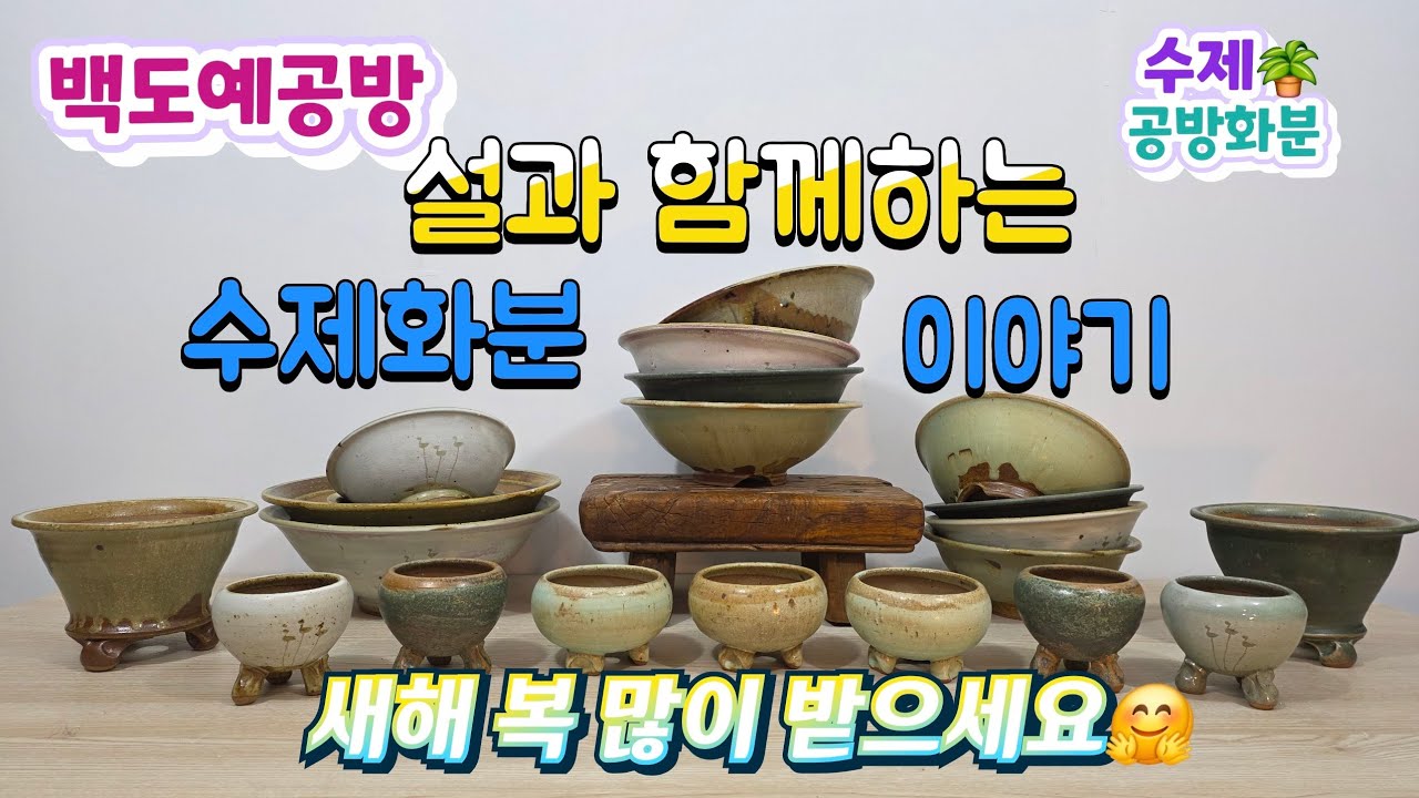 20260214(275회영상)설연휴 소중한분들과 행복한시간 보내세요🤗이번가마4번째이야기🪴#수제화분#공방화분#다육화분#야생화화분#접시분#아프리카식물#야생화#다육이#고급화분#분갈이화분