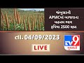 Mandi the maximum price of millet in apmc of jambusar was rs 2500 gujarat  tv9news