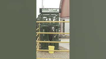 Lakeland Portable Cattle handling System