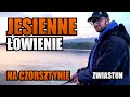 Jesienne Wędkowanie na Czorsztynie - Sandacze i Nie Tylko - ZWIASTUN