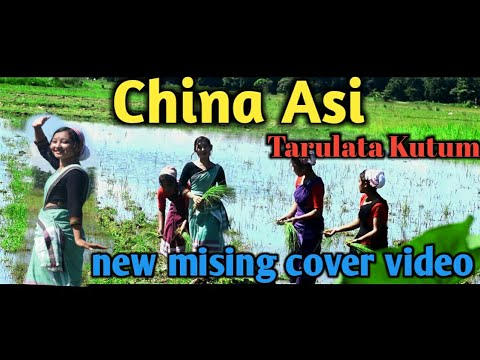 Chinang asi Tarulata Kutum  Junmoni Official  Nobin Kutum  Mising cover video
