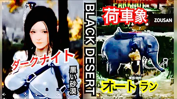 黒い砂漠 象 入手 黒い砂漠 象 入手