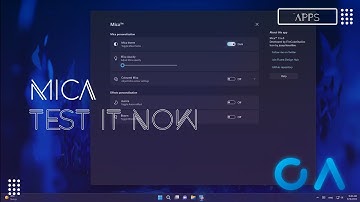 How to test windows mica