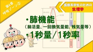 生理学　呼吸ゾーン②　「肺機能（肺活量、一回換気量、残気量等）」「1秒量/1秒率」