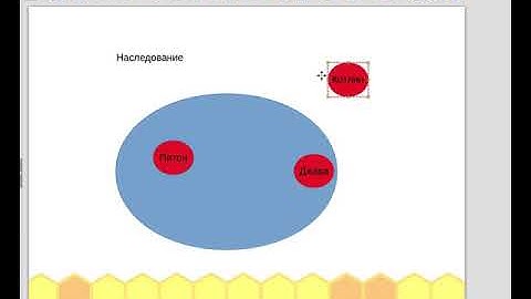 Почему важно изучать два языка программирования?
