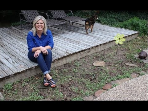 Vidéo: Texas Blue Bonnets : Comment faire pousser des fleurs Blue Bonnet dans le jardin