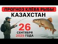ПРОГНОЗ КЛЁВА в Казахстане на 26 сентября 2025 года Бросай все и на рыбалку!