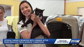 Martin County woman reunited with missing cat after 92 animals rescued from home