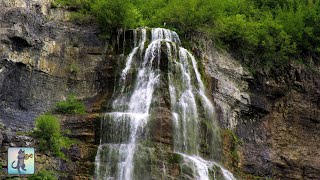 2 HOURS of Relaxing Forest Waterfall ~ Beautiful Nature Sounds for Sleep, Study & Yoga