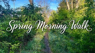 Early Morning Nature Walk in Spring | Relaxing Birdsong (No Talking)