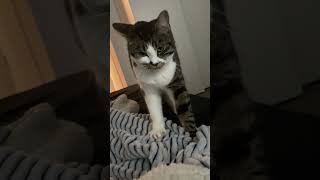 IMG 6368