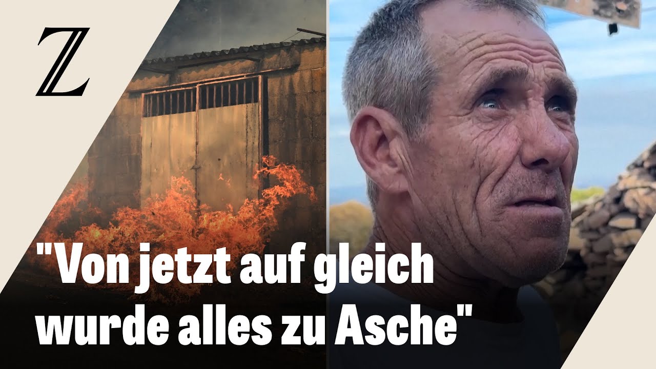 Haustiere sterben in den Bränden in Spanien, Häuser werden zerstört