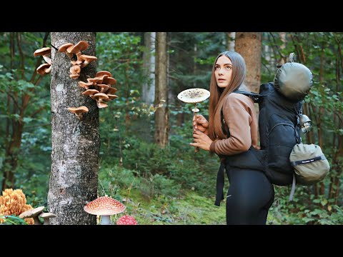 Solo trip with Canvas Hot tent in the mushroom woods | Wild camping, cooking, bushcraft skills, ASMR