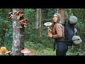 Solo trip with canvas hot tent in the mushroom woods  wild camping cooking bushcraft skills asmr