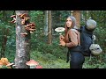 Solo trip with Canvas Hot tent in the mushroom woods | Wild camping, cooking, bushcraft skills, ASMR