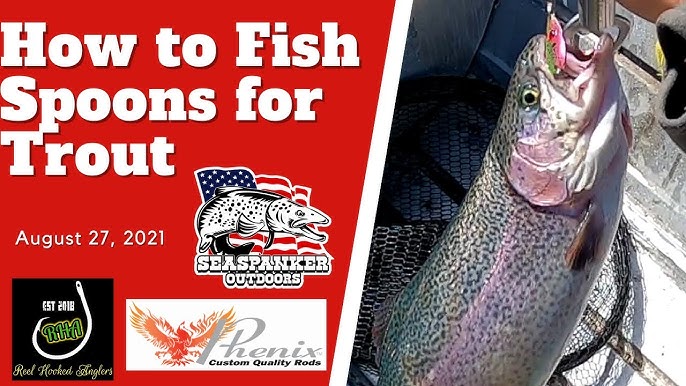How To Catch Trout at Big Bear Lake During Summer 
