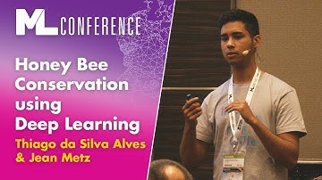 Honey Bee Conservation using Deep Learning