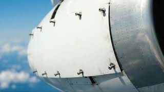 Cheap Mechanic Fixes Private Jet – You Won’t Believe What Happens 😱 | Arctic Grey