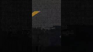 Timmys Present Animal Company Vr