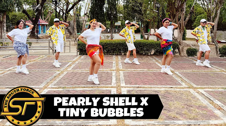 PEARLY SHELL X TINY BUBBLES ( Dj Renz John Remix ) - Retro | Dance Fitness | The South Force