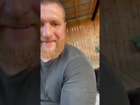 А кто это у нас?вислоухая коза 🐐 массажистка💯#животные #природа #сафари