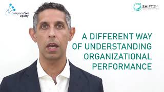 Organizational Performance Index by Michael K. Sahota