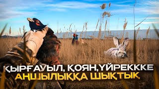 ҚЫРҒАУЫЛ, ҚОЯН, ҮЙРЕККЕ АҢШЫЛЫҚ. Охота на фазан, заяц, утку в Казахстане